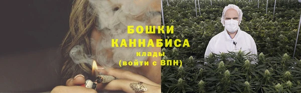 мдпв Вязники