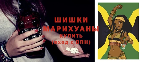 прущие грибы Горно-Алтайск