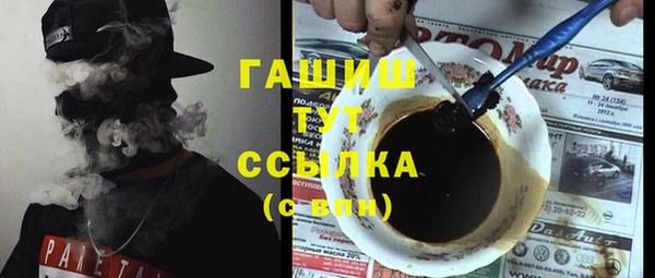прущие грибы Горно-Алтайск