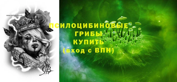 прущие грибы Горно-Алтайск