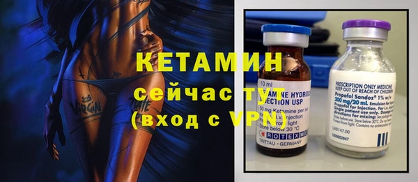 прущие грибы Горно-Алтайск