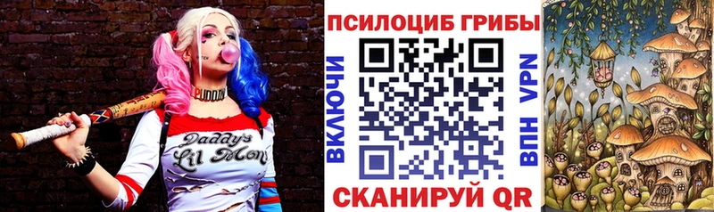 Галлюциногенные грибы Cubensis  Купить где  Александровск-Сахалинский 